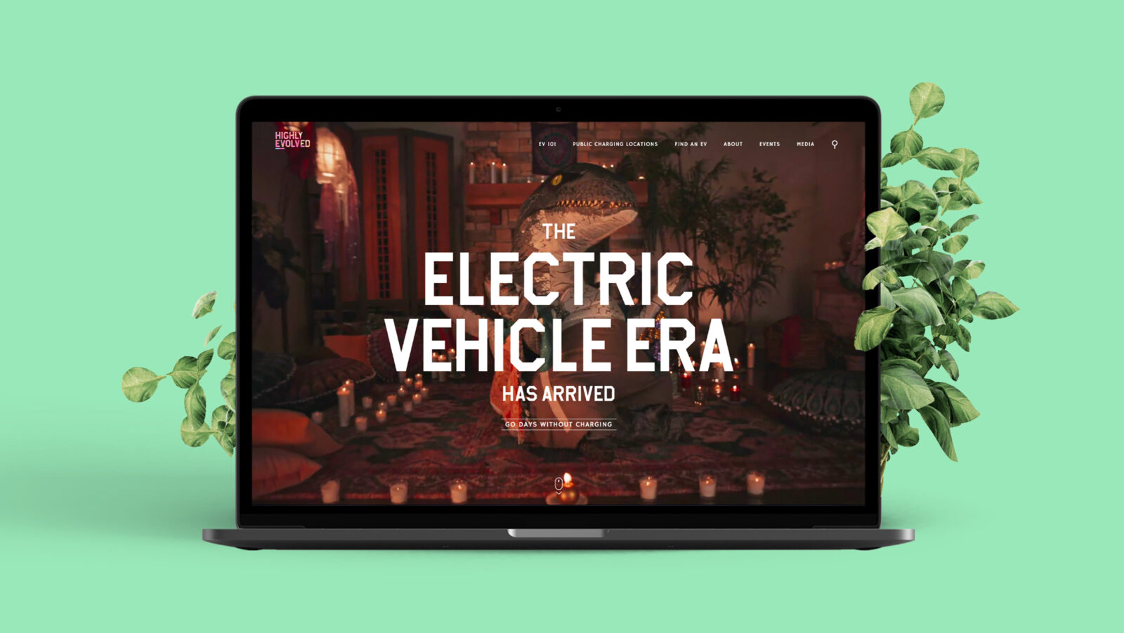 Website for EV education campaign