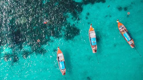 tourists swimming